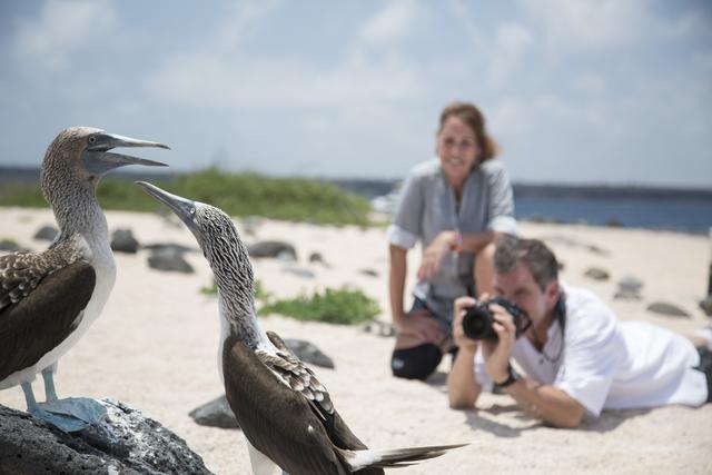 Ecuador_Galapagosoarna_blafotad_sula_resenarer_fotograferar.jpg