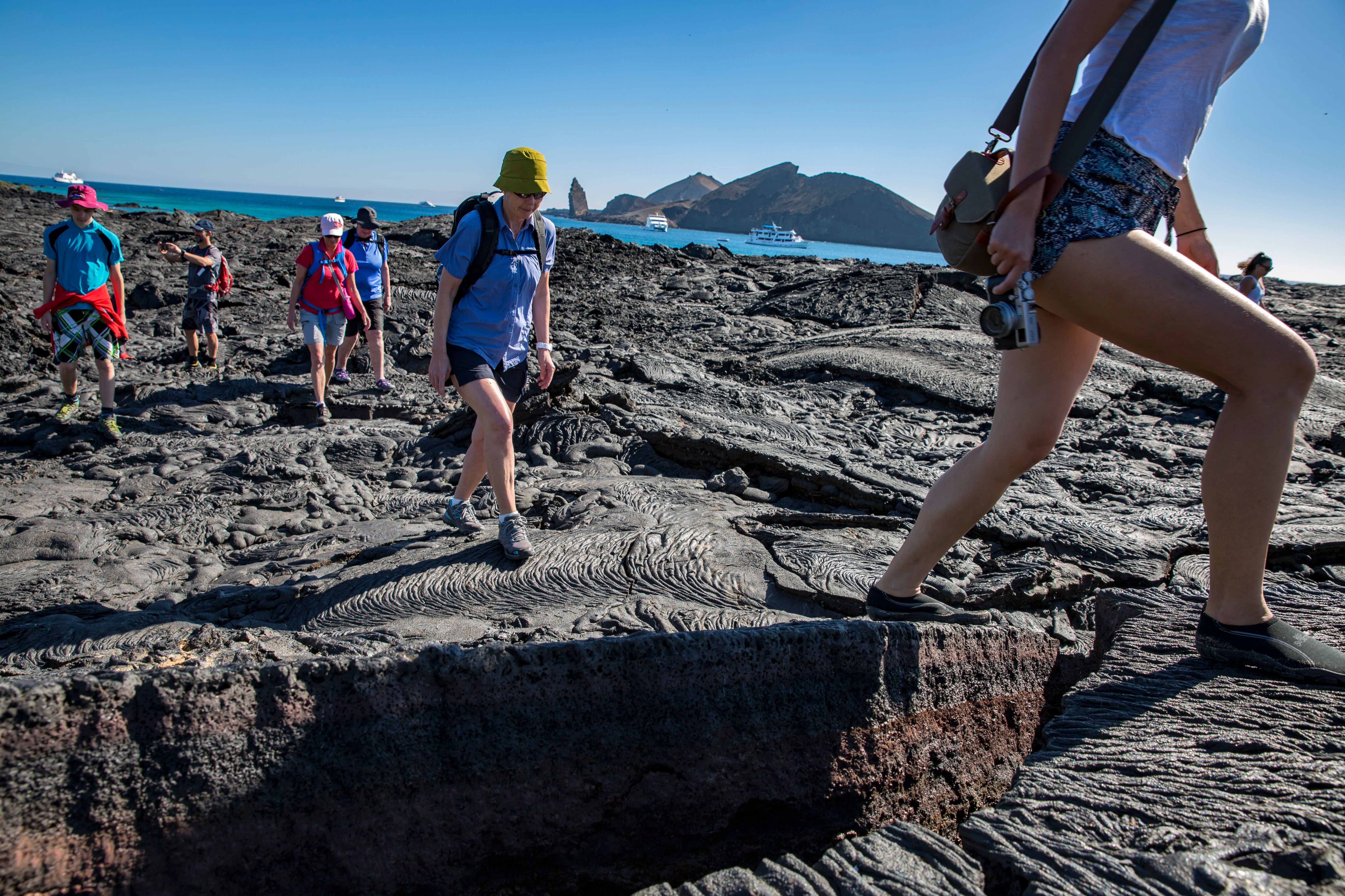 Vandrare på Galapagos