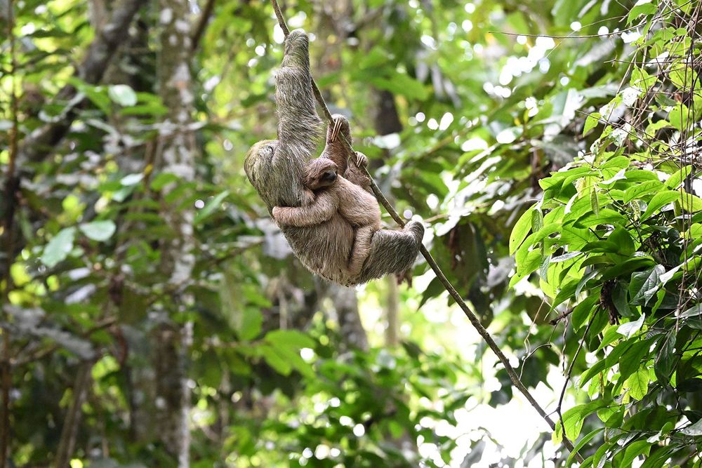 Kunskapsresa Costa Rica