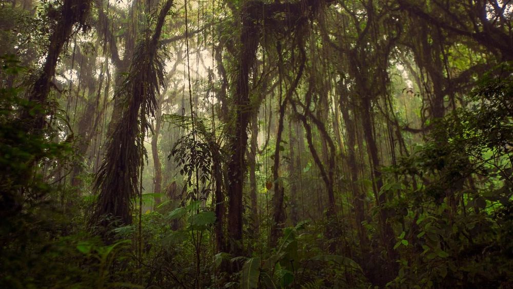 National Geographic Journeys Rundresa Costa Rica