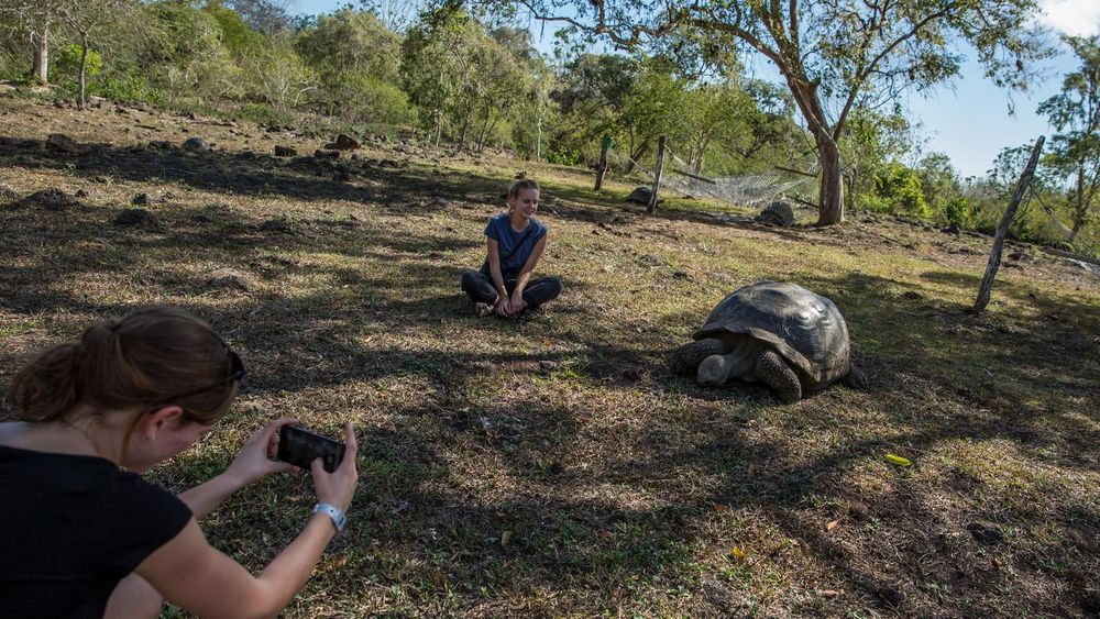 Familjeäventyr Galapagosöarna